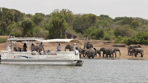 Cost of 2 Days Queen Elizabeth national park Uganda safari